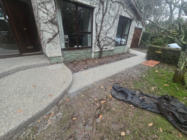 Project 20260115 210629 00034