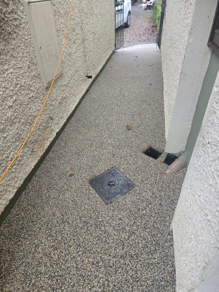 Project 20260115 210631