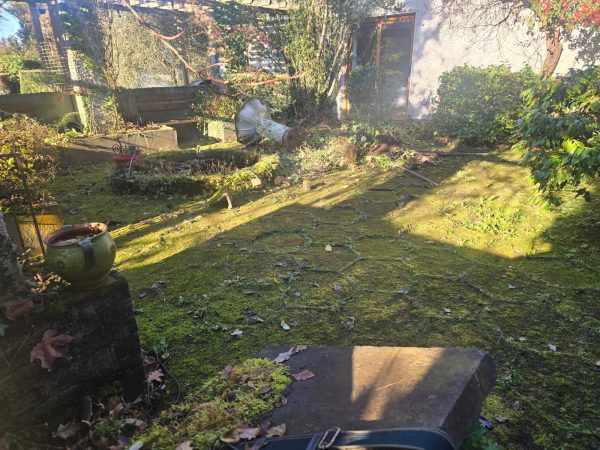 Project 20260115 210633 00036