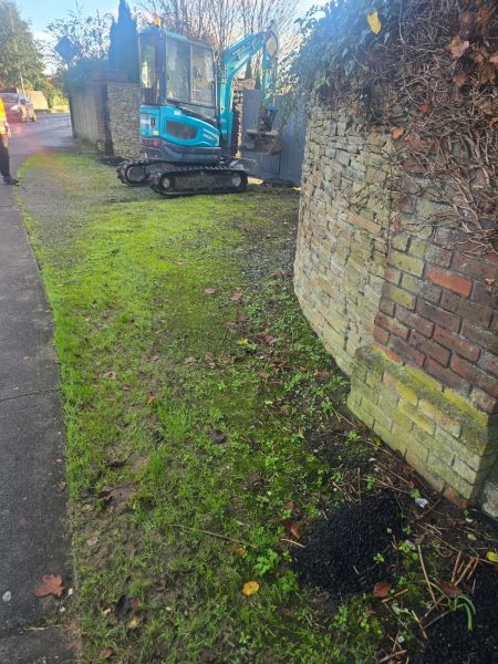 Project 20260115 211443 00044