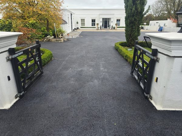 Project 20260115 220254 00052