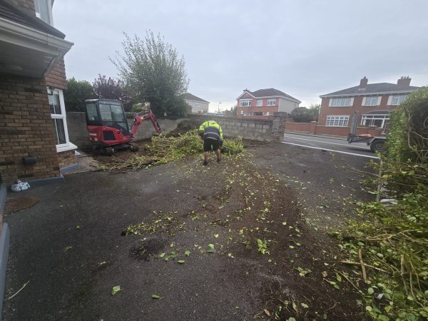 Project 20260116 204454