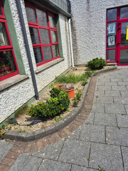 Project 20260116 222112