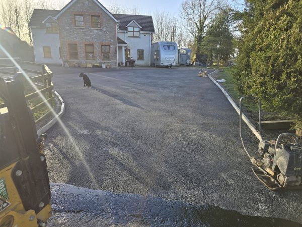 Project 20260223 192748