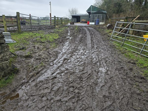 Project 20260223 192750