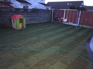 Barleystone and Turf Lawn Patio Installation in Limerick City