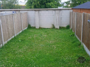 Barleystone Birch Patio with Damson Border and Artificial Grass in Naas, Co. Kildare