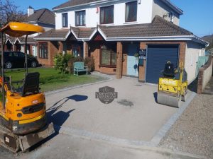 SMA Tarmac Driveway with Birch Border in Corbally, Limerick