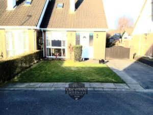 SMA Tarmac Driveway with Birch Border in Limerick City